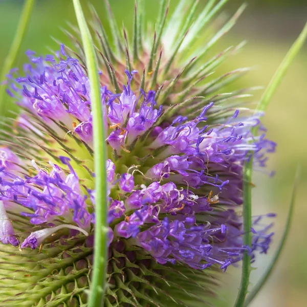 PG赌博棋牌游戏